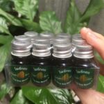 Dầu Gió Lá Bồ Đề-tiemcomen.com